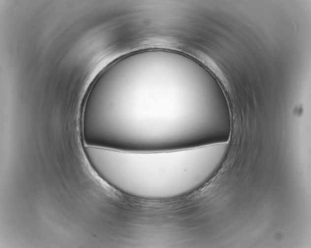 X0000094351339200711021304
