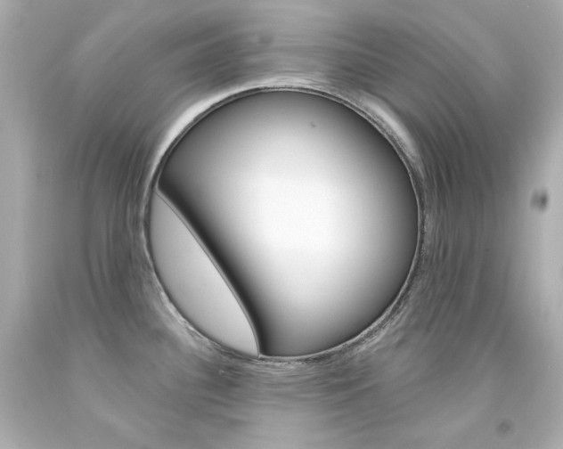 X0000094351340200711021304