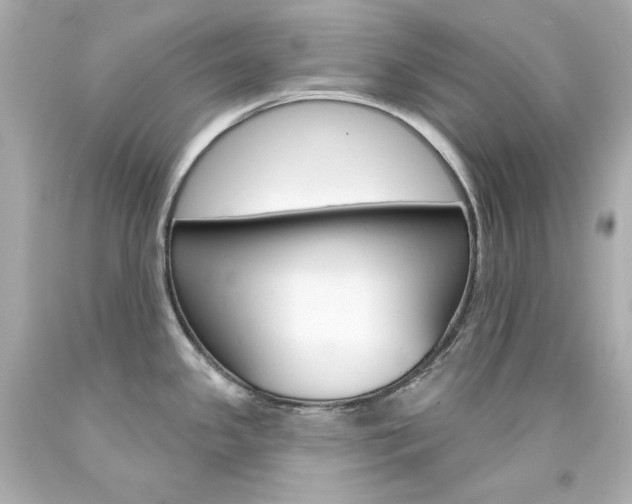 X0000094351341200711021304