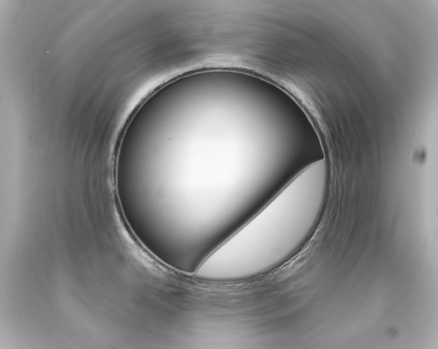 X0000094351342200711021304