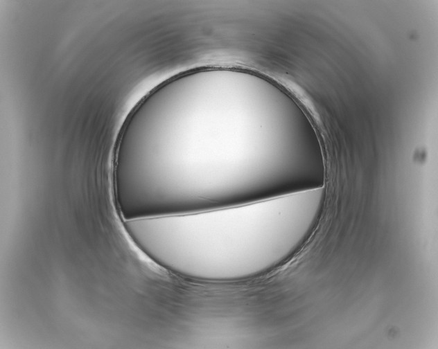X0000094351343200711021304
