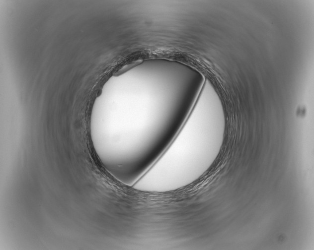 X0000094351345200711021303