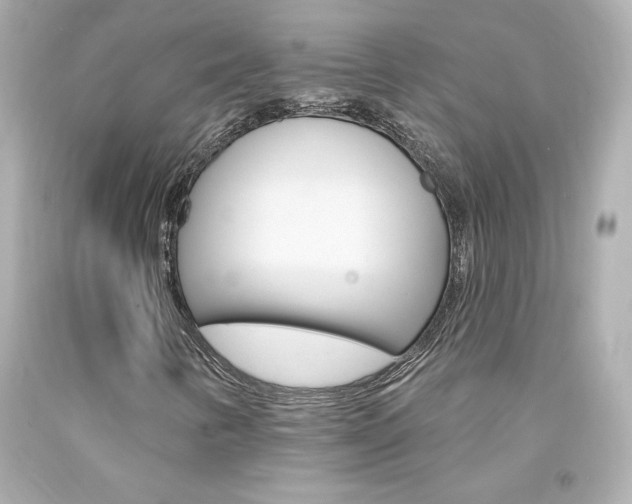X0000094351346200711021303