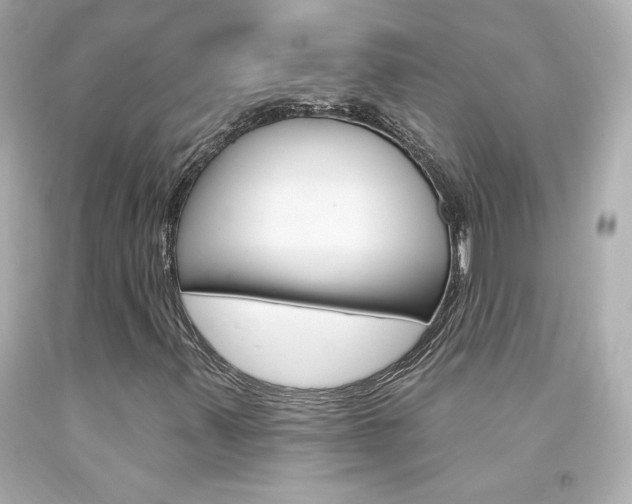 X0000094351347200711021303
