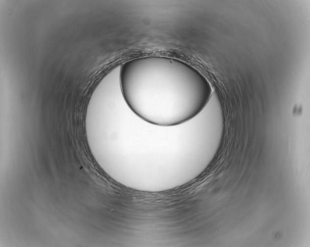 X0000094351348200711021303