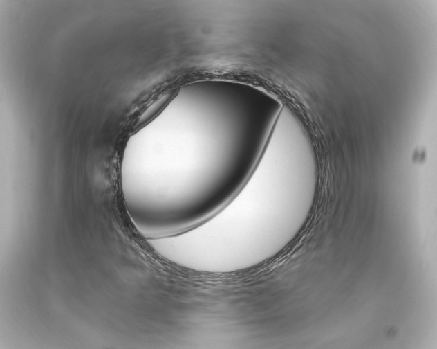 X0000094351349200711021303