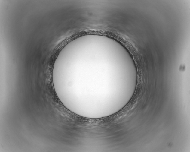 X0000094351350200711021303