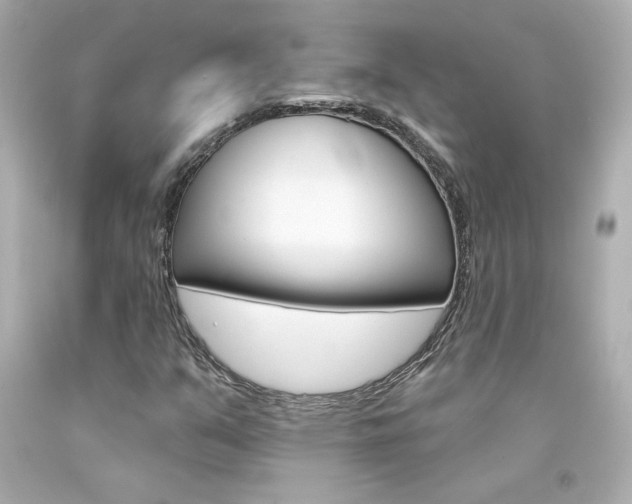 X0000094351351200711021303