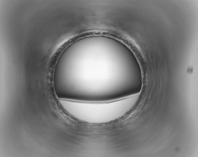 X0000094351352200711021303