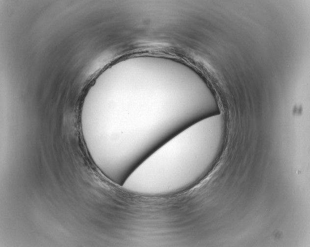 X0000094351354200711021303