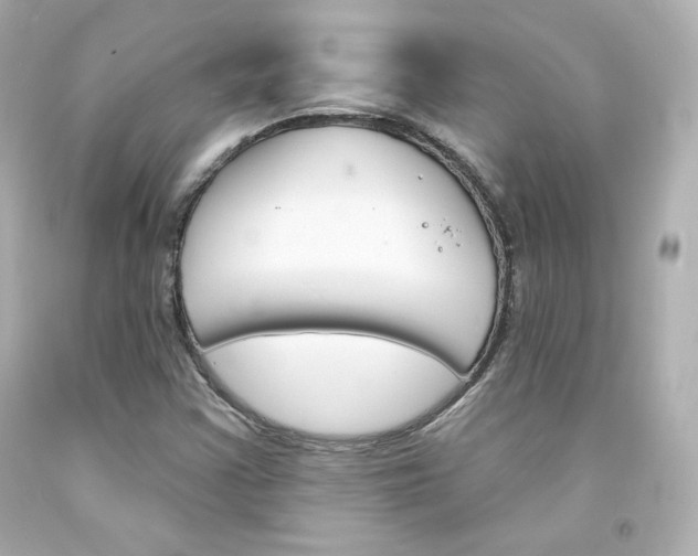 X0000094351355200711021303