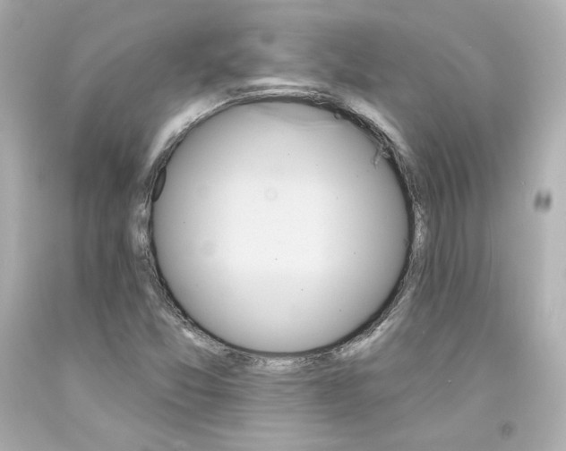 X0000094351357200711021303