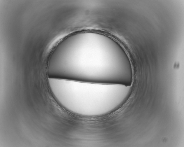 X0000094351359200711021303