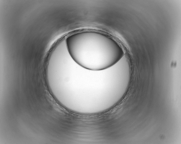 X0000094351360200711021303