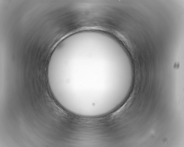 X0000094351361200711021303