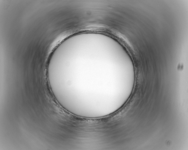 X0000094351362200711021303