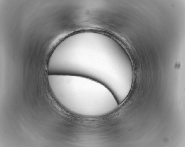 X0000094351363200711021303