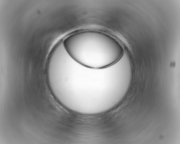 X0000094351364200711021303