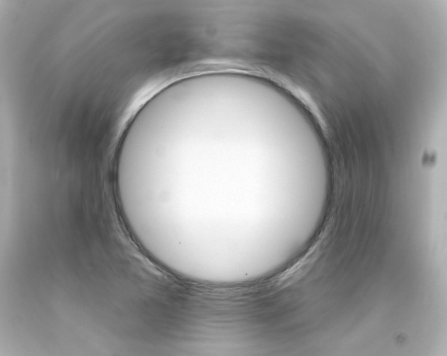X0000094351365200711021303