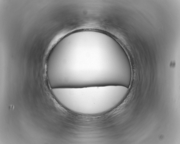 X0000094351366200711021303