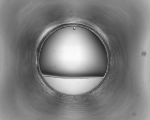 X0000094351368200711021303