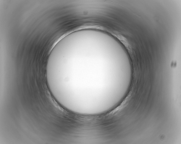X0000094351369200711021303