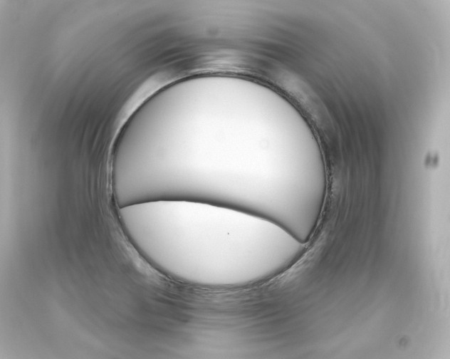 X0000094351370200711021303
