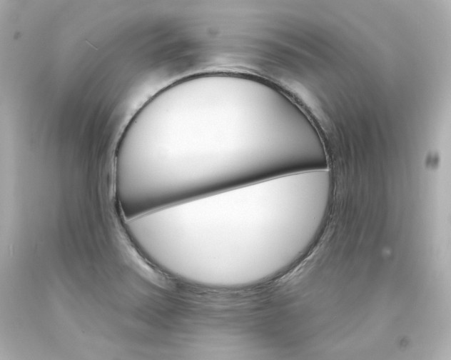 X0000094351371200711021303