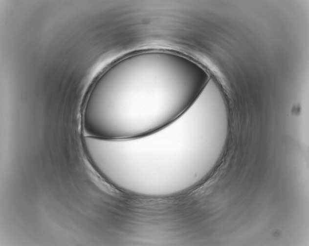X0000094351372200711021303