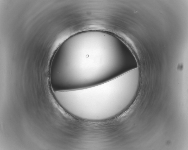 X0000094351373200711021303
