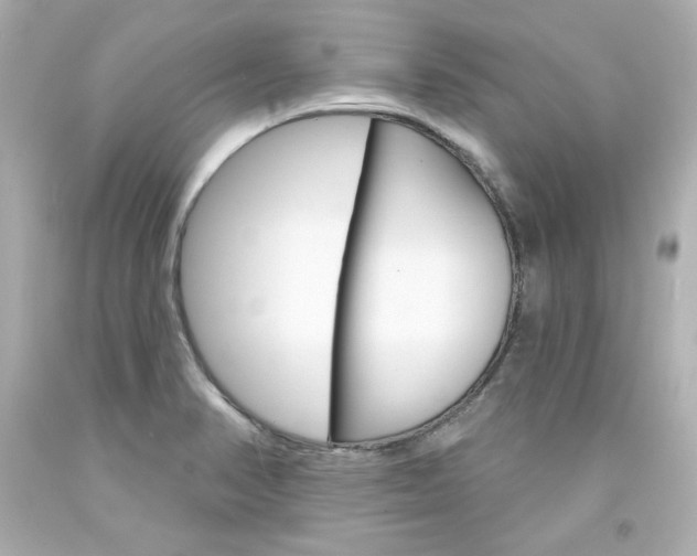 X0000094351374200711021303