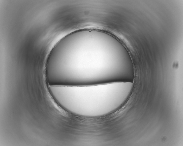 X0000094351375200711021303