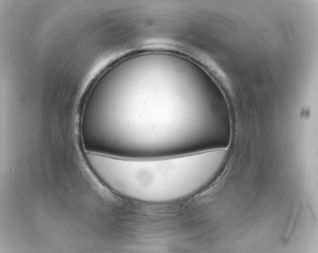 X0000094351376200711021303