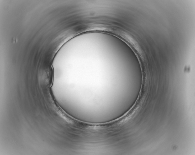 X0000094351377200711021303