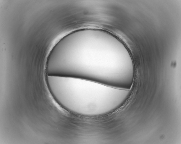 X0000094351379200711021303