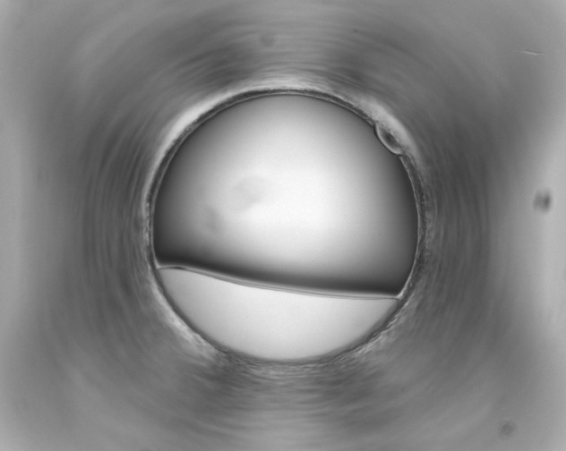 X0000094351380200711021303