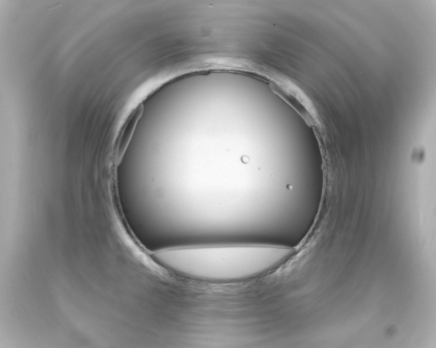 X0000094351381200711021303
