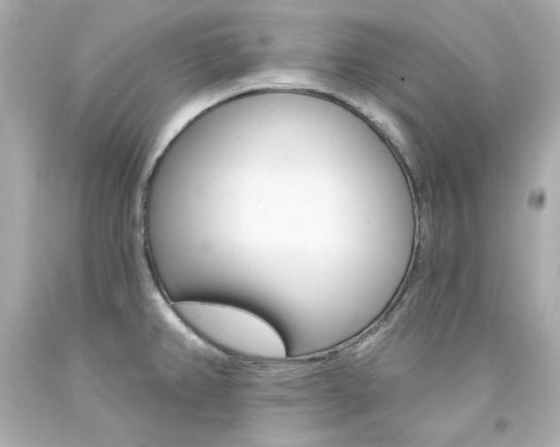 X0000094351382200711021303