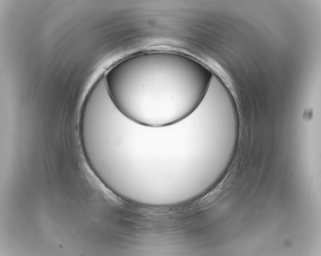 X0000094351384200711021303