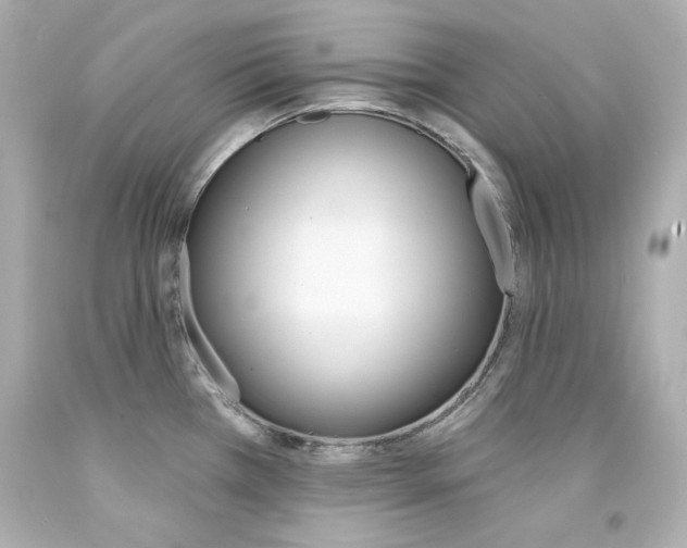 X0000094351385200711021303