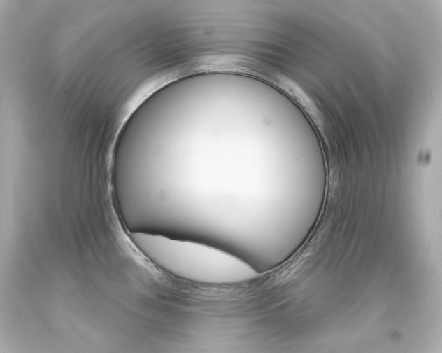 X0000094351386200711021303