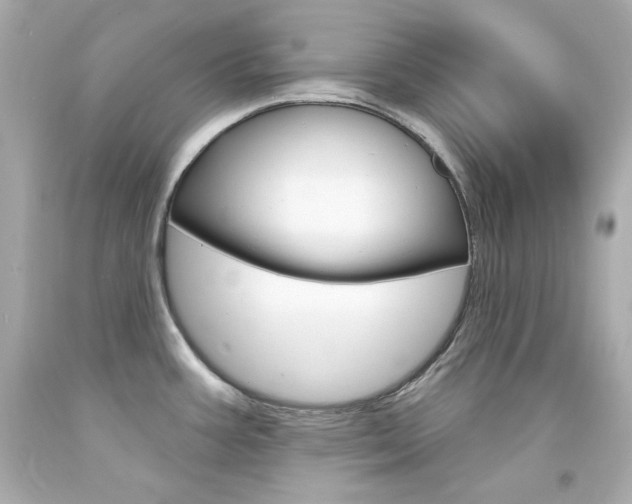 X0000094351387200711021303