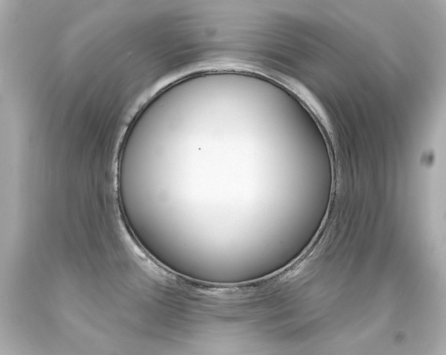 X0000094351388200711021303