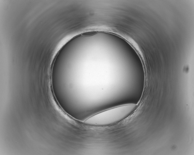 X0000094351389200711021303