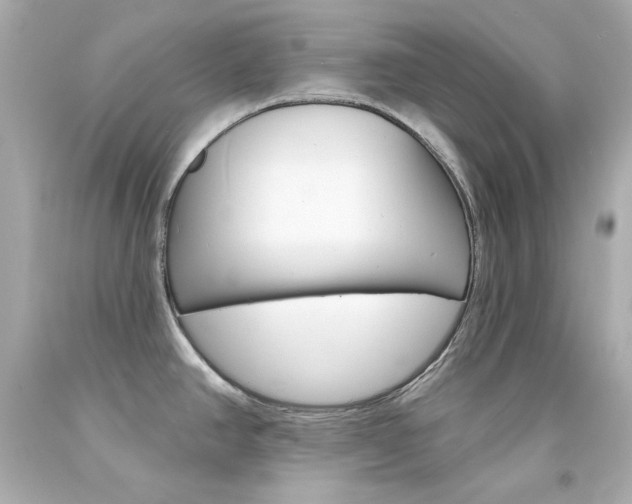 X0000094351390200711021303