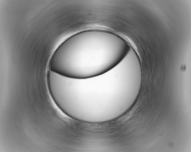 X0000094351391200711021303