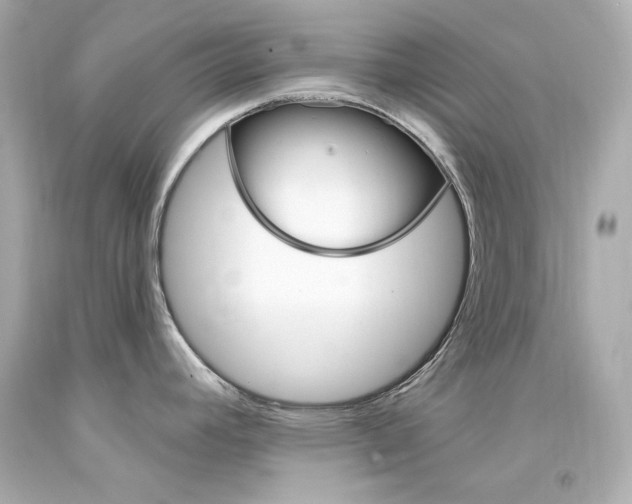 X0000094351392200711021303