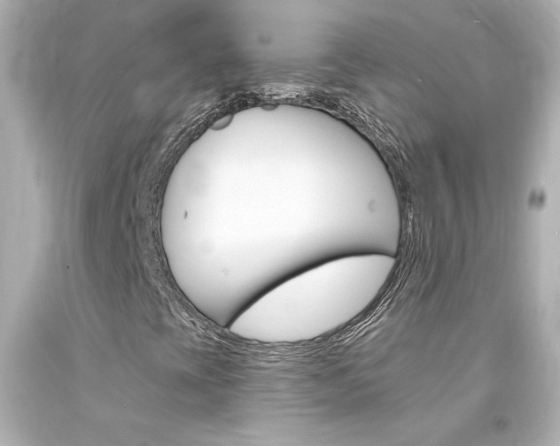 X0000094351393200711021302