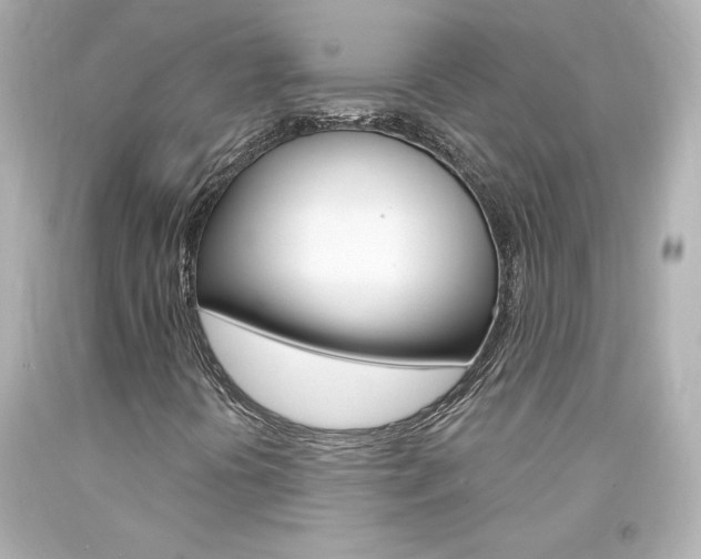 X0000094351394200711021302