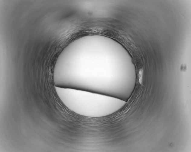 X0000094351395200711021302